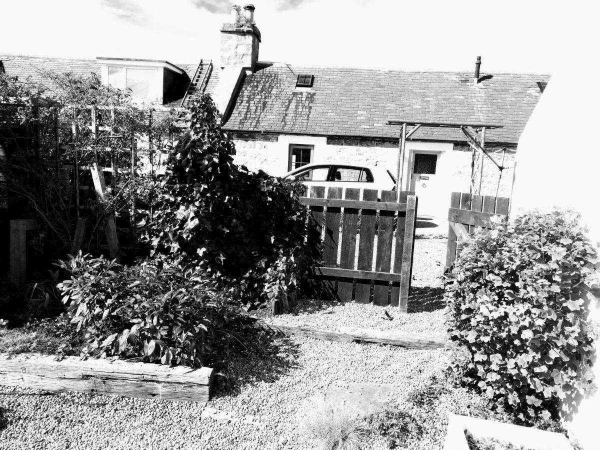 6 Seatown, Lossiemouth Exterior foto